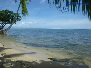 JUSTMOOREA Location Haapiti - Image 2