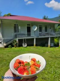 Guest house Mary - Image 2
