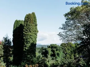 Cussonia Cottage - Image 4