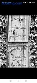 Nido di vetro - Image 1