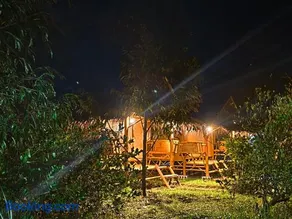 Tarzan Bamboo hut - Image 3