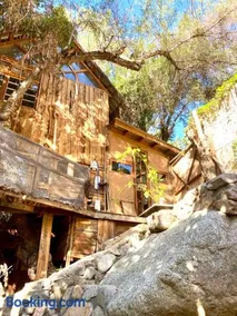 La Casa entre los Árboles en el Valle de Elqui Montegrande - Image 3