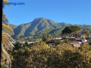 Casa Palmera Canaria, früher Finca Sambal - Image 4