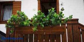 Casa Alpina - Image 4