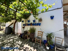 GP Cortijo Palmera - Image 2