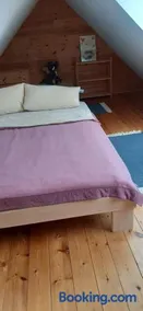 Blaues Haus-Urlaub mit Alpakas oder nur eine schöne Unterkunft in der schaalseergion - Image 3