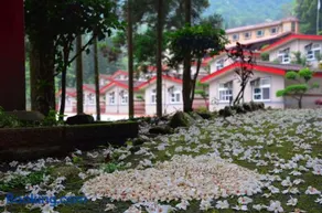 Chun Gu Farm - Image 4