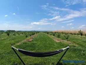 La Tiny House de l'Ouchette - Image 3