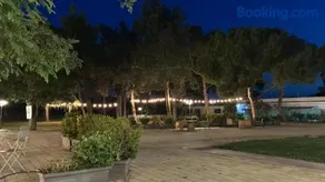 Bosco Elda - Image 2