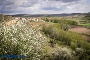 Fuentes de la Hoz - Image 4