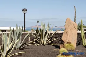 Canaryislandshost I Esencia - Image 2