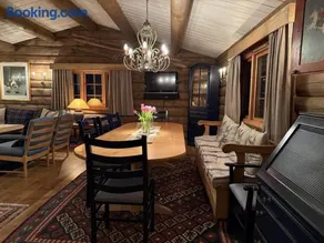 Large cottage with beautiful view in Trysil - Image 2