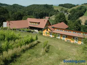 Weingut Schatz - Image 5