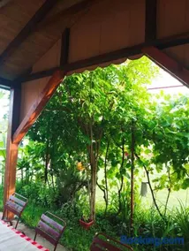 Blossom Cottage - ''Green Energy"' - Image 5
