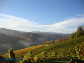 Ferienhaus Weingut Bauer - Image 3