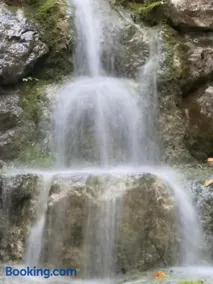 La central de Azparren, junto a la Selva de Irati - Image 4
