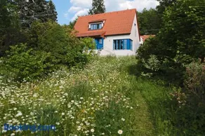 Rekreační vilka Zlenice - Image 4