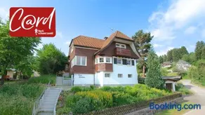 Haus Frohsinn- Feldberg im Schwarzwald - Image 1