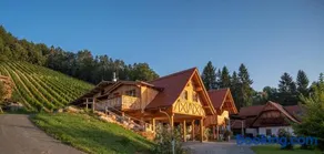 Weinhof Klug-Krainer - Image 3