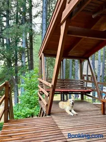 Chalet Natura la tana del ghiro - Image 2