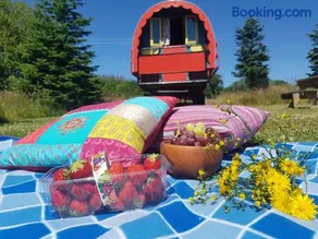 Clissmann Horse Caravans Glamping - Image 3