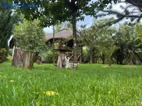 Podocarpus cottages - Image 5
