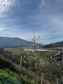 Vila Llanaj - Image 2