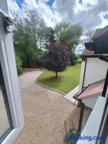 Woodpeckers Annexe in Gosfield - Image 3