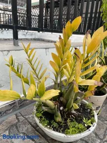 NẮNG Homestel Tây Ninh - Image 2