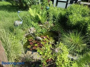 Naturnah in Hellenthal - Image 2