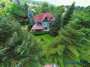 Bungalov Maşukiye Villa - Image 1