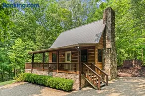 Mountain Laurel - Image 5