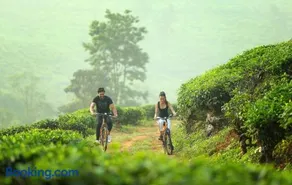 Peter's Coffee Creek Wayanad Pool Resort - Image 2