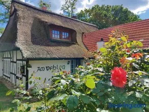 Idyllische Auszeit im Reetdachhaus am Wehlen - Image 1