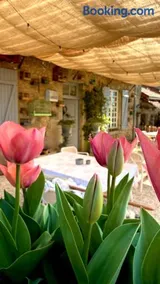 La vie en rose - Image 3