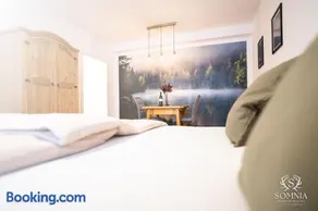 Ferienwohnung Somnia - Altstadt Gmunden - Image 1