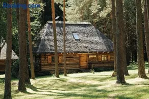 Gungas - Image 2