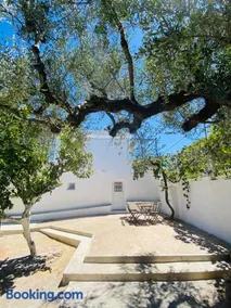 Olive tree cottage - Image 1