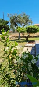 House Castiadas tra Mare e Montagna - Image 1