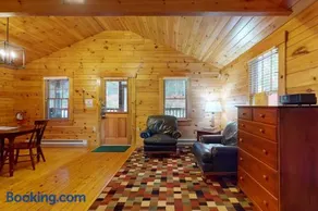 Idyllic dog-friendly studio cabin with AC, fireplace & WiFi - Image 4