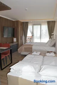 Deluxe Mountain View Studio ViS in Residence Hill Hotel Kopaonik - Image 3