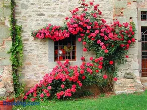 Agriturismo "Ai frati" - Image 1