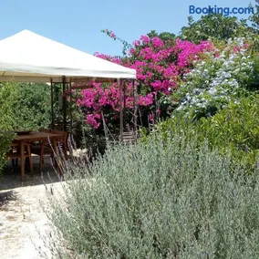 Aegina's Oasis - Image 4