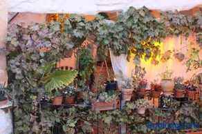 Casa Violeta - Image 2