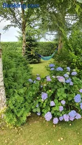 Apartamenty na Bałtyckiej - Image 4