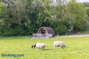 Ashberry Glamping Pod - Image 1