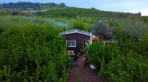 Cantina Cabin's - Think Nature - Image 4