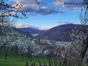 Hill House Doftana - Image 3