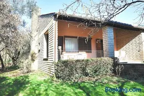 Montecasciano - Glicine - Image 2