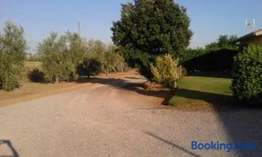 Monolocale con giardino - Image 2